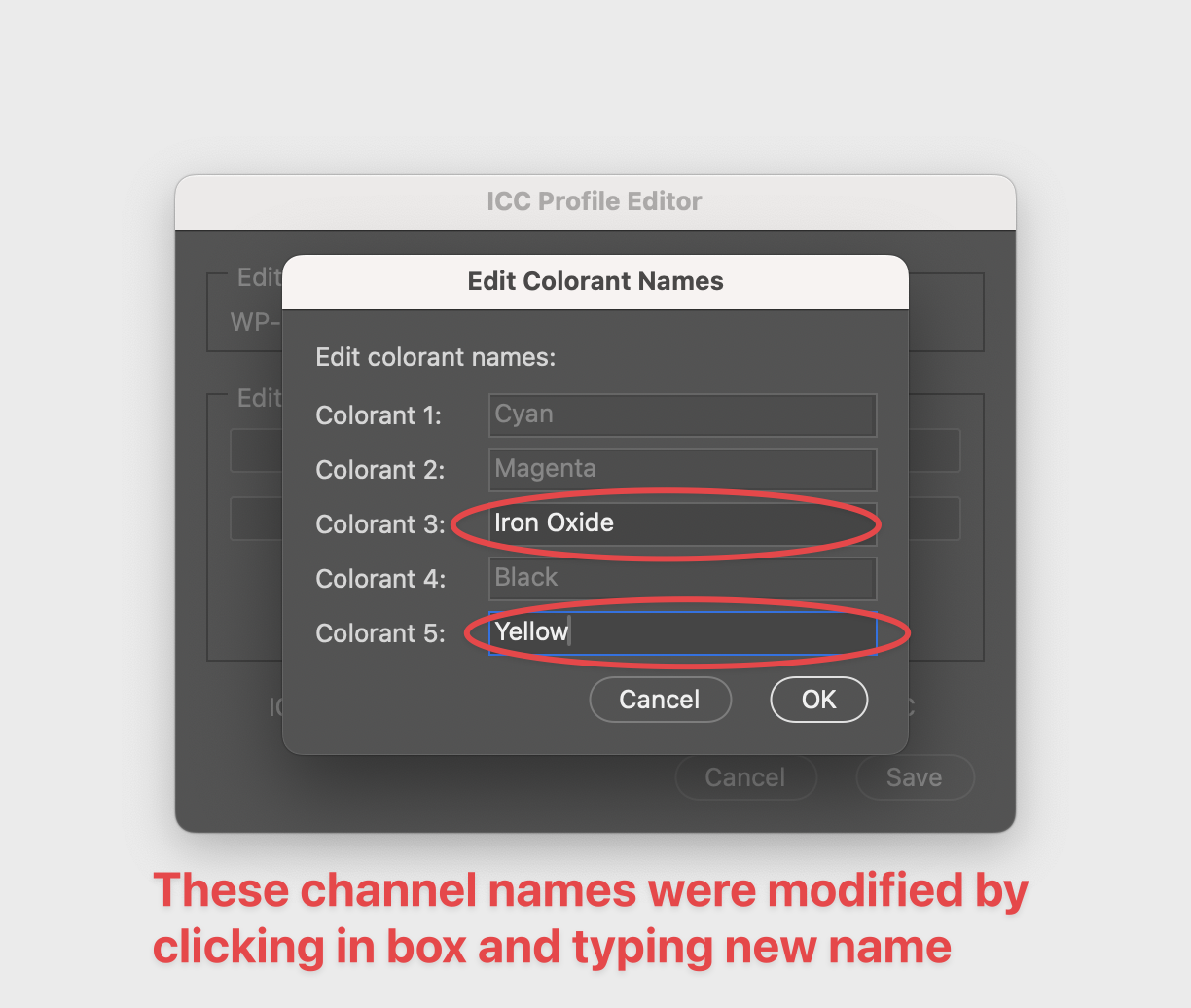 ICC colorant name editor dialog pane ICC profile modify channel names